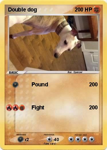 Pokemon Double dog