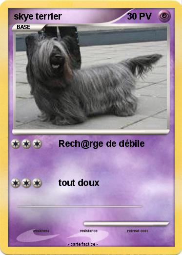 Pokemon skye terrier