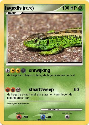 Pokemon hagedis (rare)