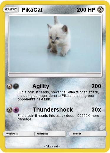 Pokemon PikaCat
