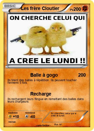 Pokemon Les frère Cloutier