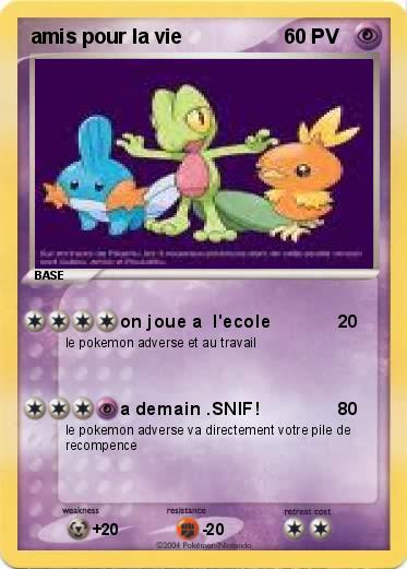 Pokemon amis pour la vie