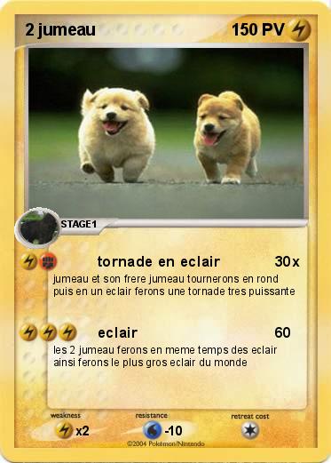 Pokemon 2 jumeau