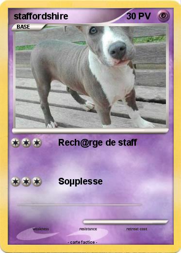 Pokemon staffordshire