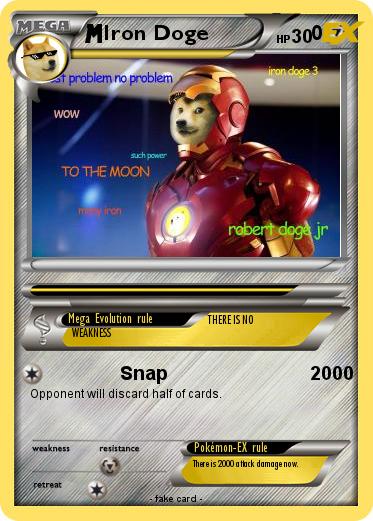 Pokemon Iron Doge                 0