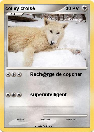 Pokemon colley croisé