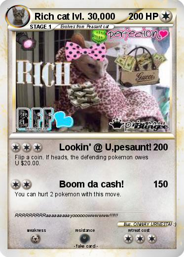 Pokemon Rich cat lvl. 30,000