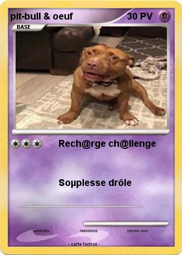 Pokemon pit-bull & oeuf