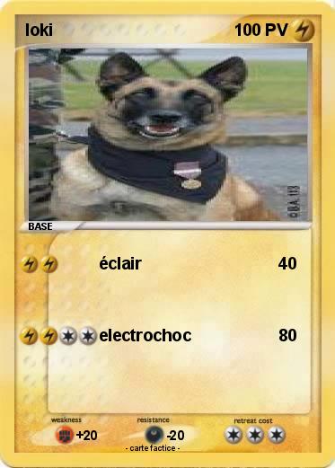 Pokemon loki