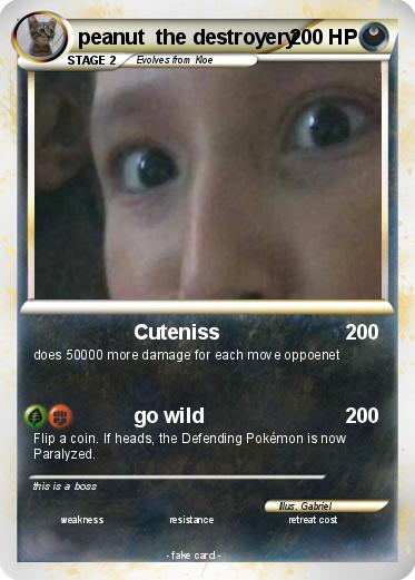 Pokemon peanut  the destroyery