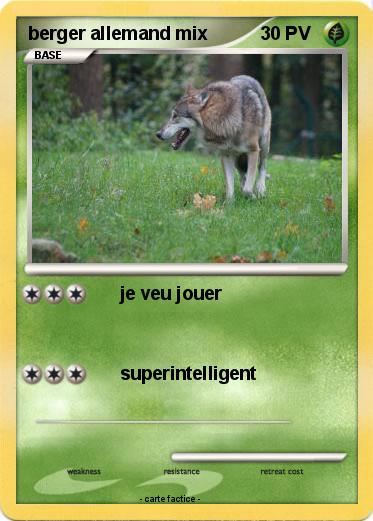 Pokemon berger allemand mix