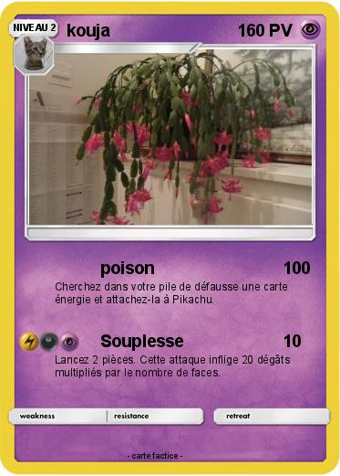 Pokemon kouja