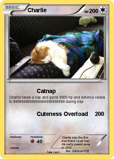 Pokemon Charlie