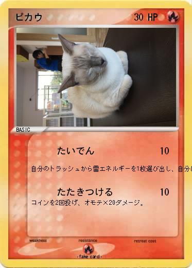 Pokemon ピカウ