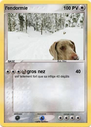 Pokemon l'endormie