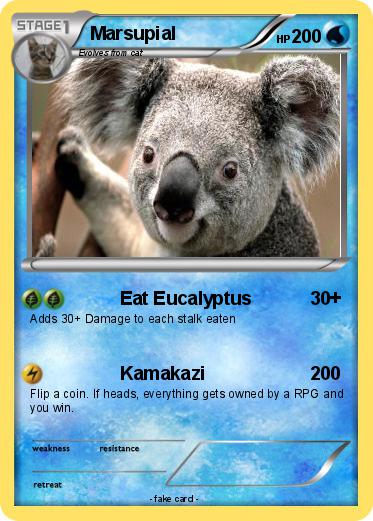 Pokemon Marsupial
