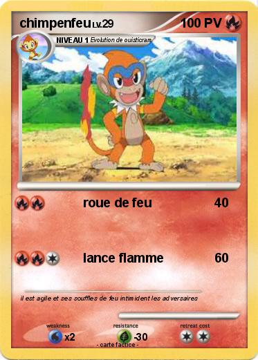 Pokemon chimpenfeu