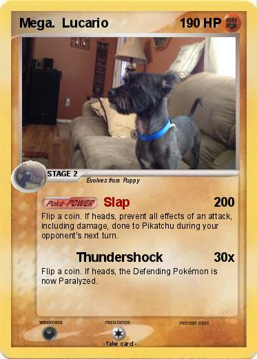 Pokemon Mega.  Lucario