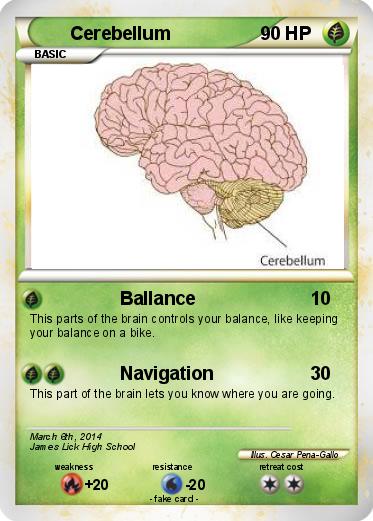 Pokemon Cerebellum