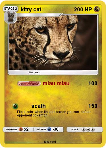 Pokemon kitty cat