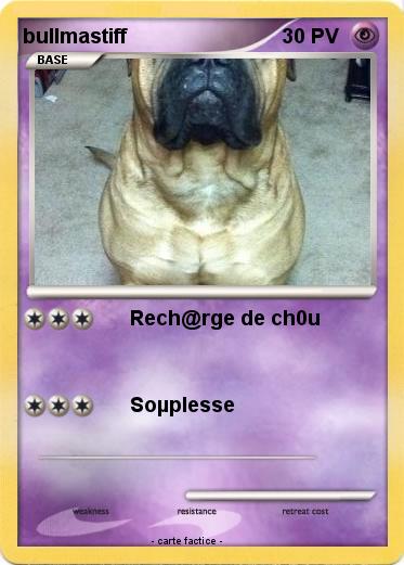 Pokemon bullmastiff