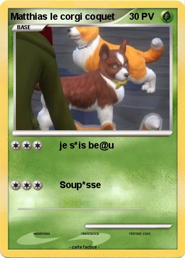 Pokemon Matthias le corgi coquet