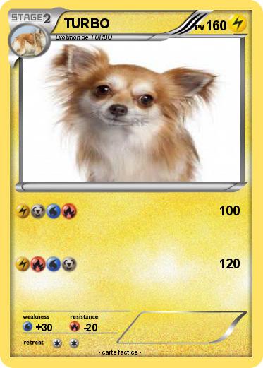 Pokemon TURBO