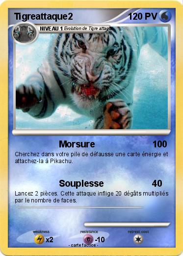 Pokemon Tigreattaque2