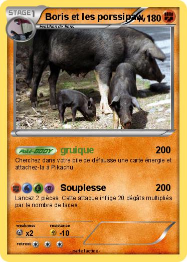 Pokemon Boris et les porssipaw