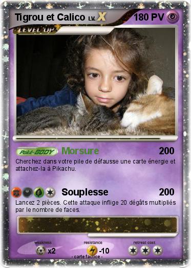 Pokemon Tigrou et Calico