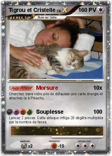 Pokemon Tigrou et Cristelle
