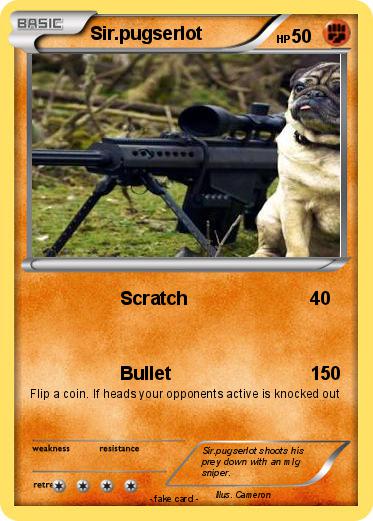 Pokemon Sir.pugserlot
