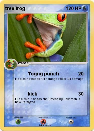 Pokemon tree frog