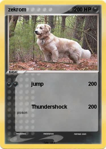 Pokemon zekrom