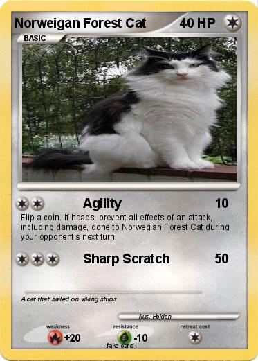 Pokemon Norweigan Forest Cat
