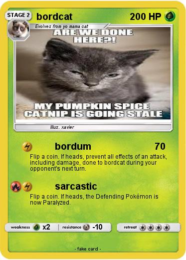 Pokemon bordcat