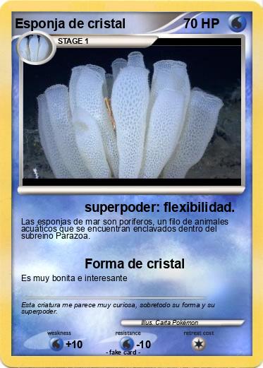 Pokemon Esponja de cristal