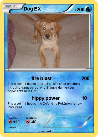 Pokemon Dog EX