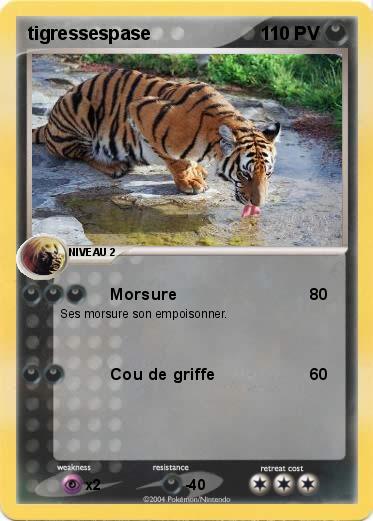 Pokemon tigressespase