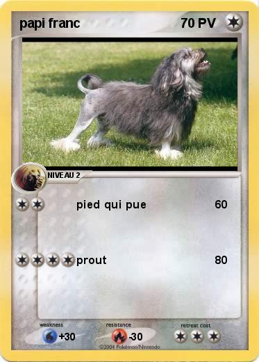 Pokemon papi franc