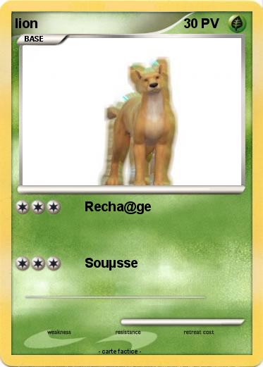 Pokemon lion