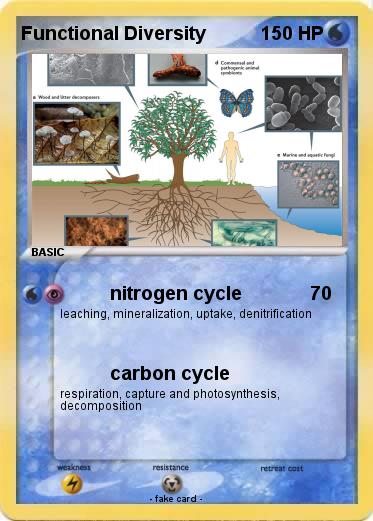Pokemon Functional Diversity