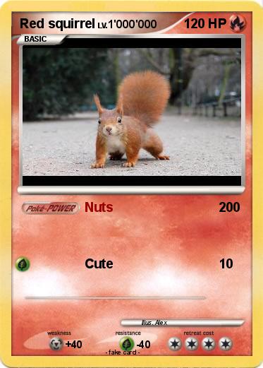 Pokemon Red squirrel
