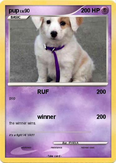 Pokemon pup