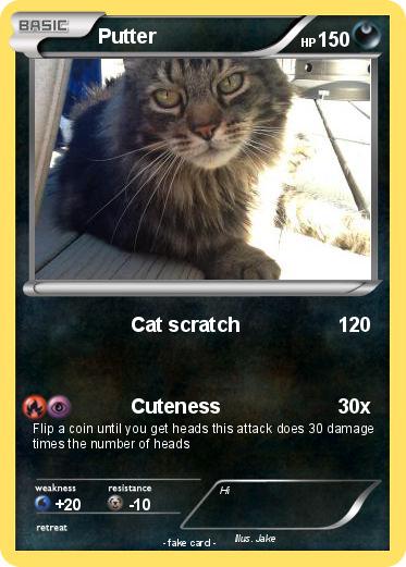 Pokemon Putter