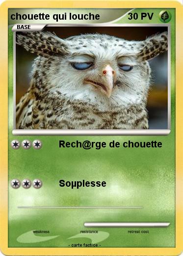 Pokemon chouette qui louche