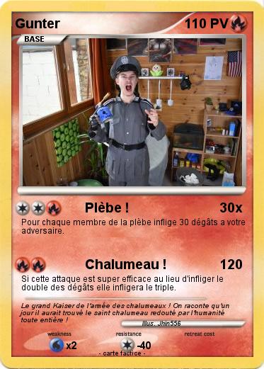 Pokemon Gunter