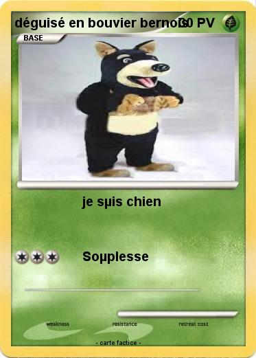 Pokemon déguisé en bouvier bernois