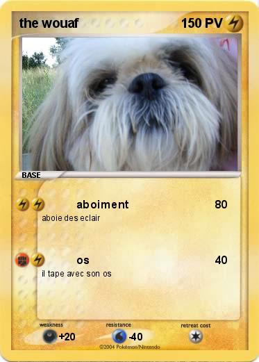 Pokemon the wouaf