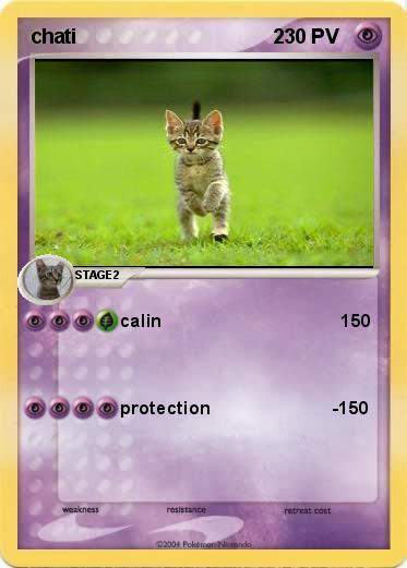 Pokemon chati                                   2  
